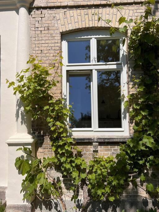 Idyllisches Appartement Nahe Ostsee Und Schlei Rabenkirchen-Faulück Exteriör bild