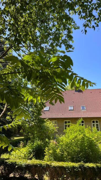 Idyllisches Appartement Nahe Ostsee Und Schlei Rabenkirchen-Faulück Exteriör bild